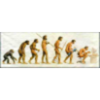 Human Evolution logo, Human Evolution contact details