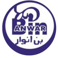 BIN-ANWAR Ventures logo, BIN-ANWAR Ventures contact details