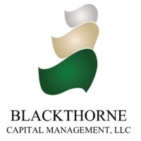 Blackthorne Capital Management LLC logo, Blackthorne Capital Management LLC contact details