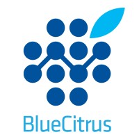 BLUE CITRUS SOFTWARE A.Ş logo, BLUE CITRUS SOFTWARE A.Ş contact details