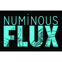 Numinous Flux logo, Numinous Flux contact details