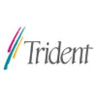 Trident Microsystems logo, Trident Microsystems contact details