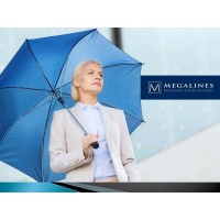 Megalines Insurance & Risk Advisers logo, Megalines Insurance & Risk Advisers contact details