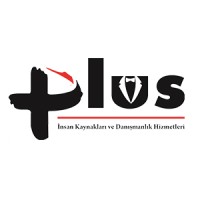 Plus İnsan Kaynakları ve Danışmanlık Hizmetleri logo, Plus İnsan Kaynakları ve Danışmanlık Hizmetleri contact details