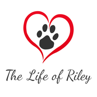 The Life of Riley Pet Care Services logo, The Life of Riley Pet Care Services contact details