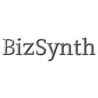 BizSynth.com logo, BizSynth.com contact details