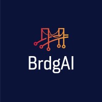 BrdgAI logo, BrdgAI contact details