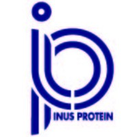 INUS Protein logo, INUS Protein contact details