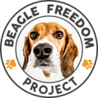 Beagle Freedom Project logo, Beagle Freedom Project contact details