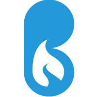 BlueFire Software LLC logo, BlueFire Software LLC contact details