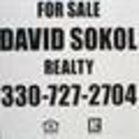 David Sokol Realty logo, David Sokol Realty contact details