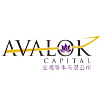 Avalok Capital 宏观资本 logo, Avalok Capital 宏观资本 contact details