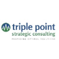 Triple Point Strategic Consulting LLC logo, Triple Point Strategic Consulting LLC contact details