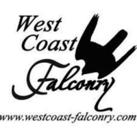 West Coast Falconry logo, West Coast Falconry contact details