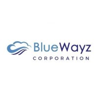 BlueWayz Corporation logo, BlueWayz Corporation contact details