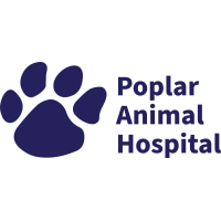 Poplar Animal Hospital logo, Poplar Animal Hospital contact details