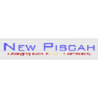 New Pisgah Daycare logo, New Pisgah Daycare contact details