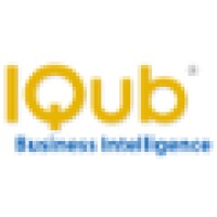 IQub - Business Intelligence logo, IQub - Business Intelligence contact details