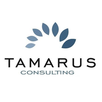 Tamarus Consulting logo, Tamarus Consulting contact details