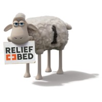 Relief Bed International logo, Relief Bed International contact details