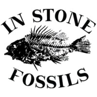 In Stone Fossils logo, In Stone Fossils contact details