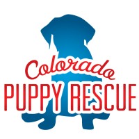 Colorado Puppy Rescue logo, Colorado Puppy Rescue contact details