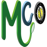 Mentores Consultores logo, Mentores Consultores contact details