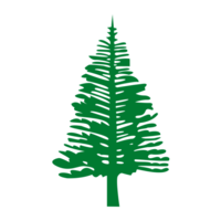 Norfolk Island Distilling Co. logo, Norfolk Island Distilling Co. contact details