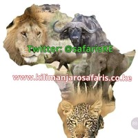 KILIMANJARO EXOTIC ADVENTURES & SAFARIS logo, KILIMANJARO EXOTIC ADVENTURES & SAFARIS contact details