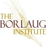 Borlaug Institute for International Agriculture, Texas A&M University System logo, Borlaug Institute for International Agriculture, Texas A&M University System contact details