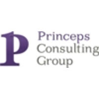 Princeps Consulting Group logo, Princeps Consulting Group contact details