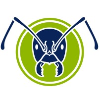 The Ant Network logo, The Ant Network contact details