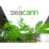 Zeacann logo, Zeacann contact details