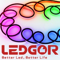 Ledgor Lighting Technology logo, Ledgor Lighting Technology contact details