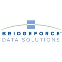 Bridgeforce Data Solutions logo, Bridgeforce Data Solutions contact details