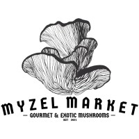 MyzelMarket logo, MyzelMarket contact details