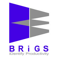 Brigs Espro Services Pvt Ltd logo, Brigs Espro Services Pvt Ltd contact details