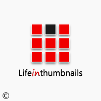 LifeInThumbnails logo, LifeInThumbnails contact details