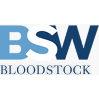 BSW Bloodstock logo, BSW Bloodstock contact details