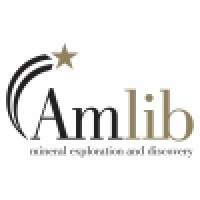 Amlib Holdings Plc logo, Amlib Holdings Plc contact details