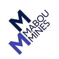 Mabou Mines Development Fndtn logo, Mabou Mines Development Fndtn contact details