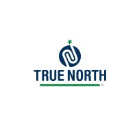 True North Consultants, MN logo, True North Consultants, MN contact details