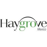 Haygrove - Mexico logo, Haygrove - Mexico contact details