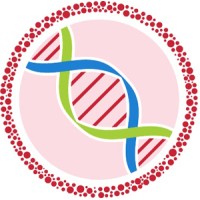 The Boston Stem Cell Center logo, The Boston Stem Cell Center contact details