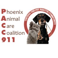 PACC911 logo, PACC911 contact details