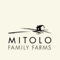 Mitolo Group logo, Mitolo Group contact details