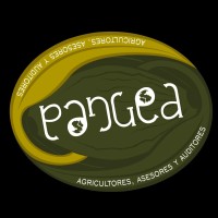 PANGEA agricultores, asesores & auditores S.A.S. logo, PANGEA agricultores, asesores & auditores S.A.S. contact details