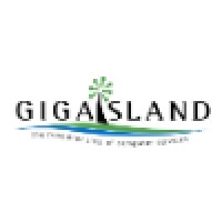 Gigaisland LLC logo, Gigaisland LLC contact details