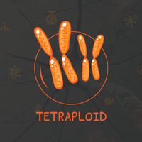 Tetraploid Team logo, Tetraploid Team contact details