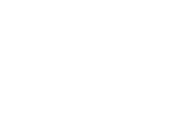 The Lionyls logo, The Lionyls contact details